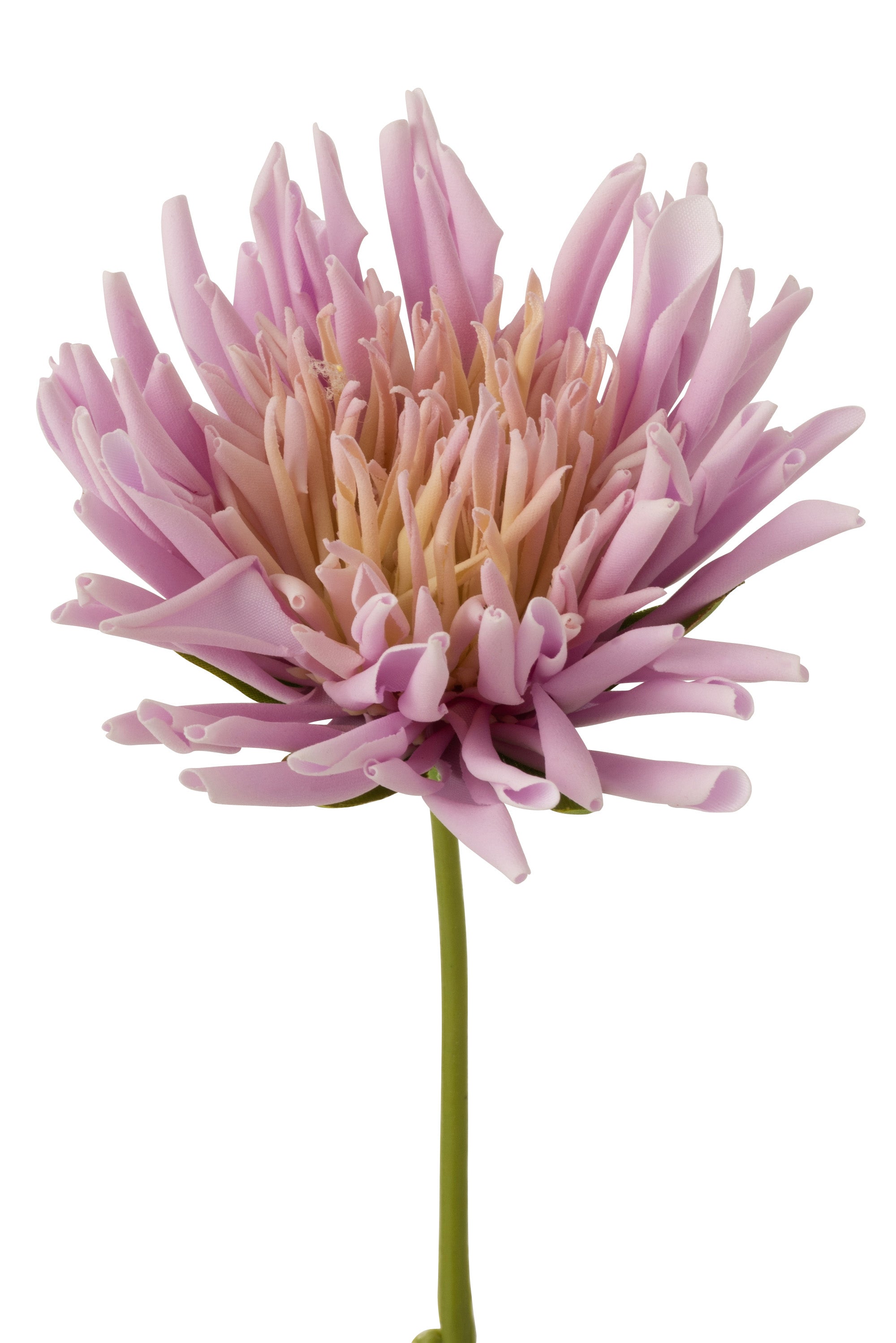 Chrysant mini paars