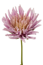 Afbeelding in Gallery-weergave laden, Chrysant mini paars
